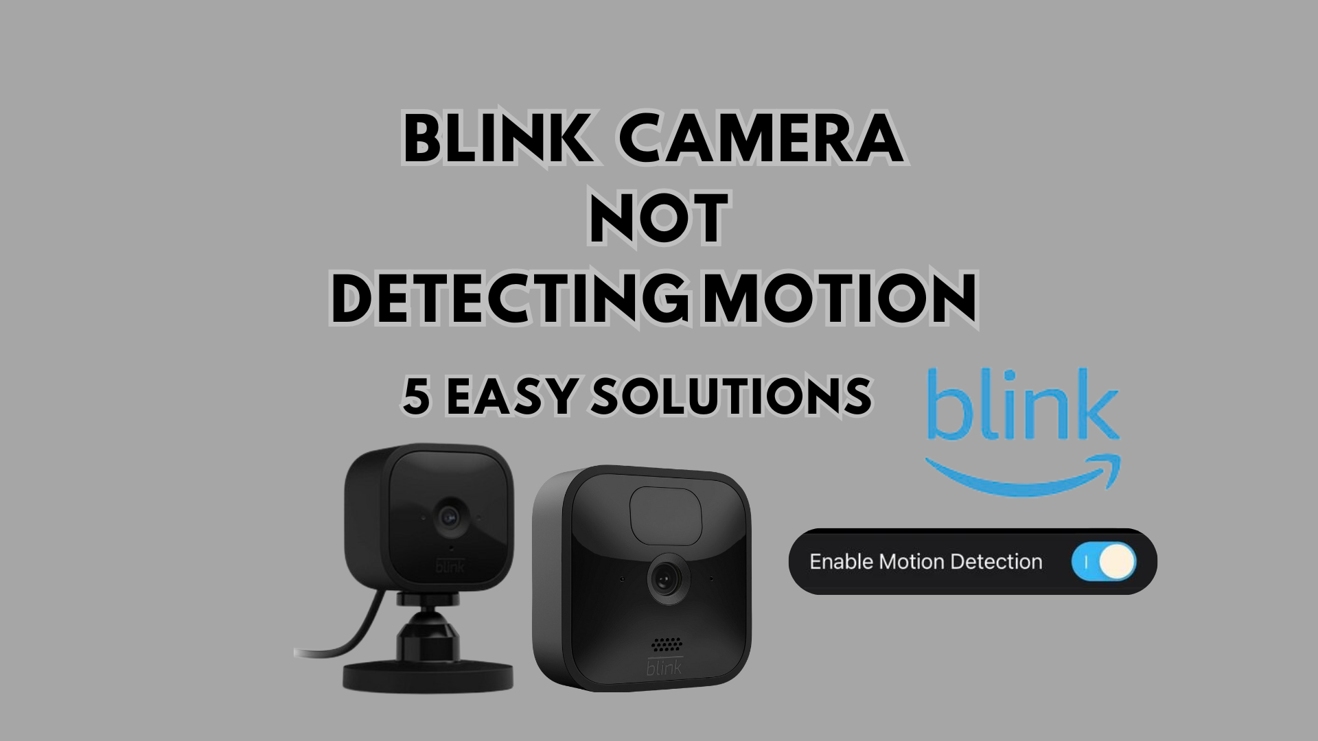 Blink Camera Not Detecting Motion